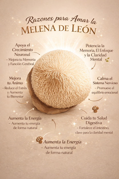 MELENA DE LEÓN 500MG | CLARIDAD MENTAL Y ENFOQUE NATURAL